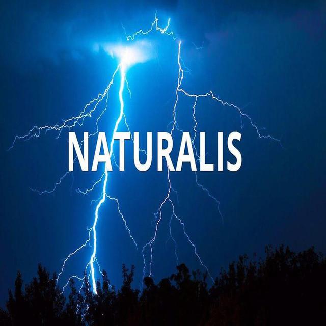 Naturalis's avatar image
