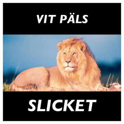 Vit Pals's cover