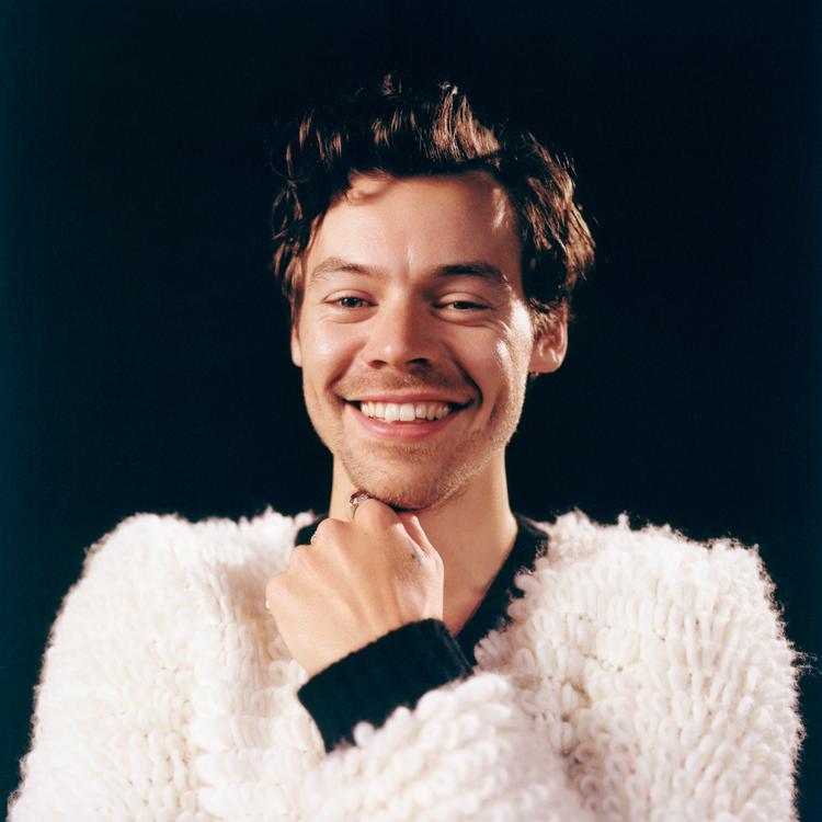 Harry Styles's avatar image
