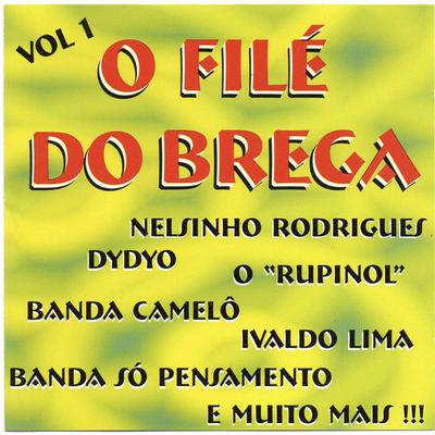O Filé Do Brega's cover