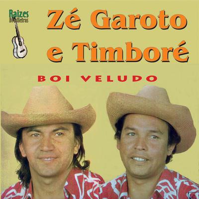 Zé Garoto & Timboré's cover