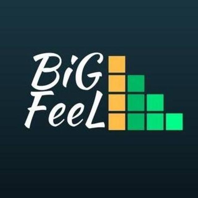BiGFeeL's avatar image