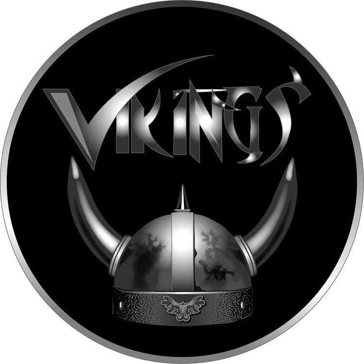 Vikings's avatar image