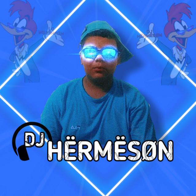 DJ HERMESON's avatar image