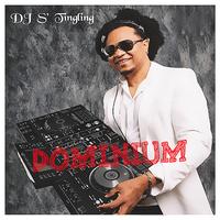 DJ S' Tingling's avatar cover