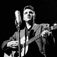 Elvis Presley's avatar cover