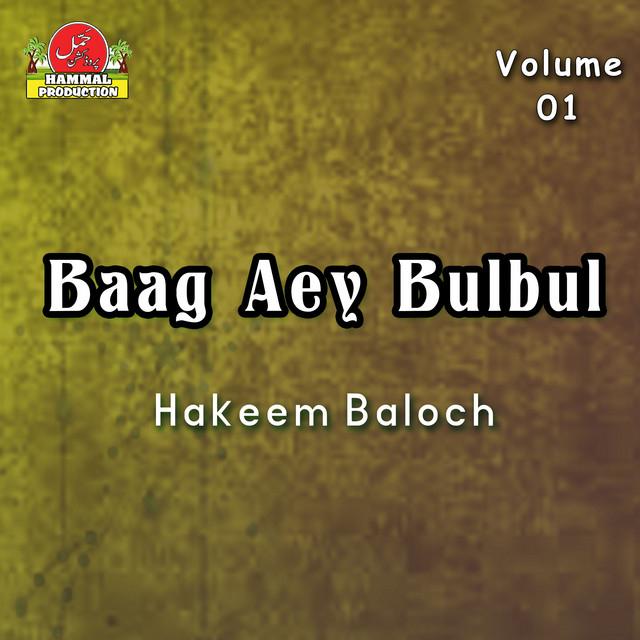 Hakeem Baloch's avatar image