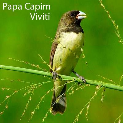 Papa Capim's cover