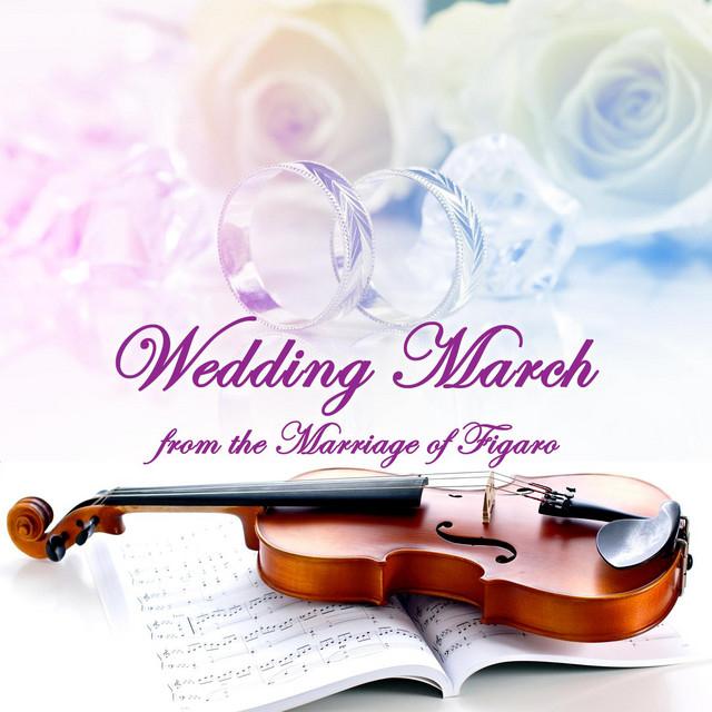 Wedding March from the Marriage of Figaro Strings's avatar image