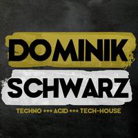 Dominik Schwarz's avatar cover