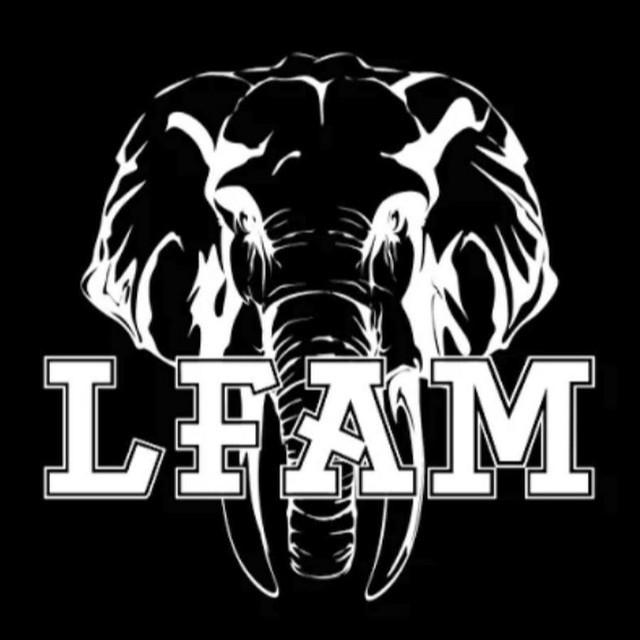 LFAM's avatar image