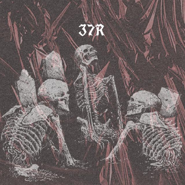 37R's avatar image