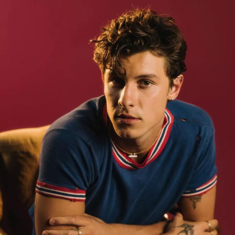 Shawn Mendes's avatar image