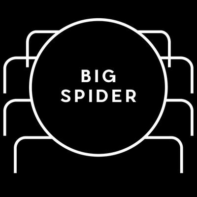 Big Spider's cover