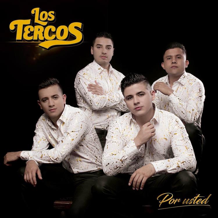 Los Tercos's avatar image