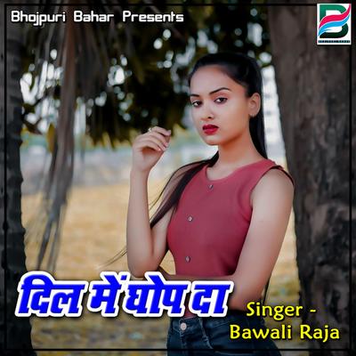 Bawali Raja's cover