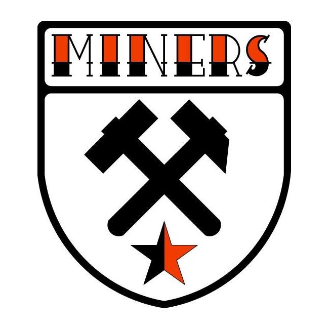 Miners's avatar image