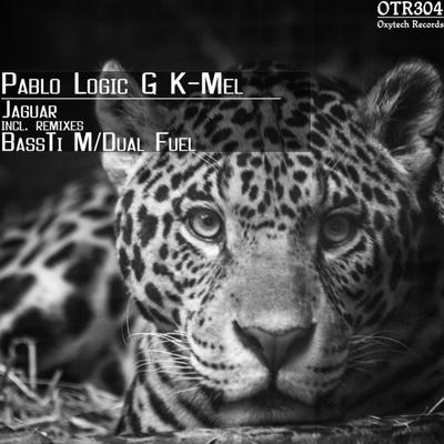 Pablo Logic's cover