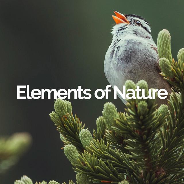Elements of Nature's avatar image