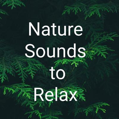 Nature Sounds to Relax's cover