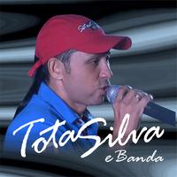 Tota Silva e Banda's avatar cover