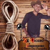 Zé Cícero Forrozeiro's avatar cover