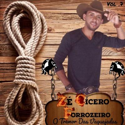 Zé Cícero Forrozeiro's cover