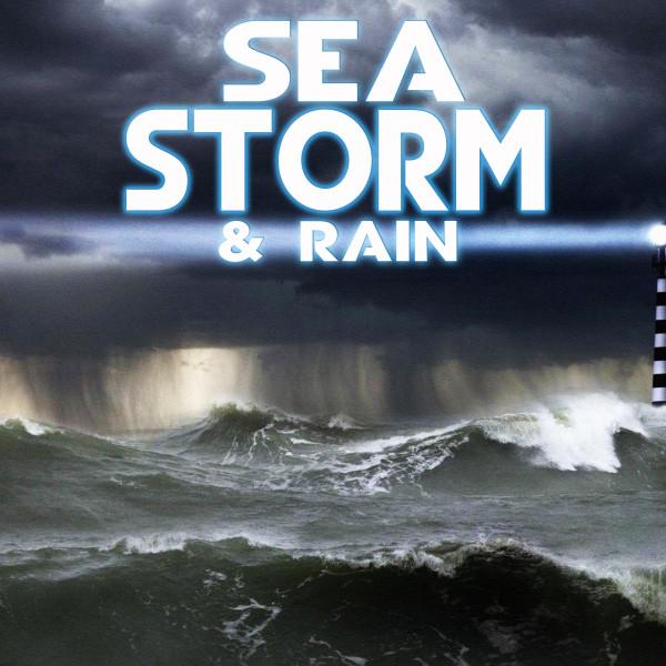 Rain In The Ocean's avatar image