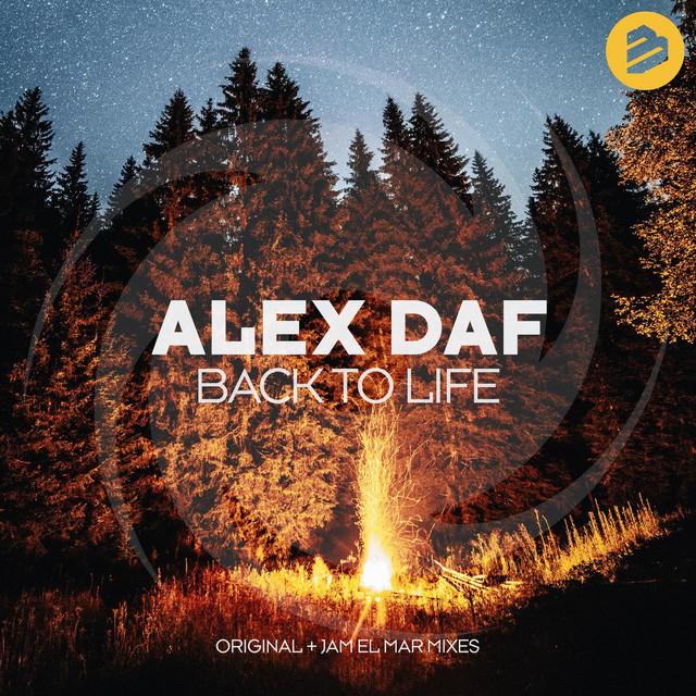 Alex Daf's avatar image