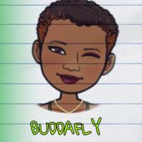 BuddaFly's avatar cover