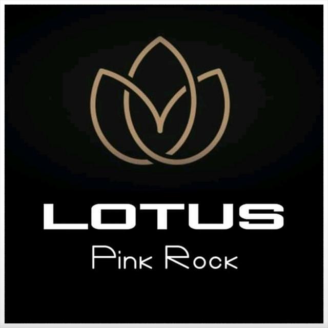 Lotus Pink Rock's avatar image