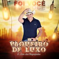 VAQUEIRO DE LUXO OFICIAL's avatar cover