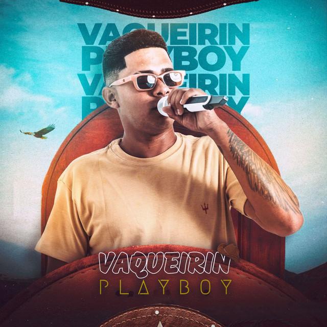 Vaqueirin Playboy's avatar image