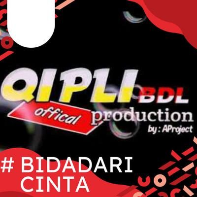 Qipli Aproject's cover