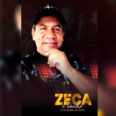 Zeca e Banda's cover