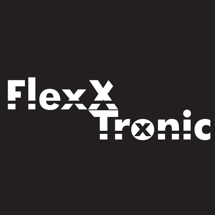 Flexxtronic's avatar image