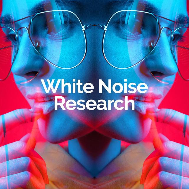 White Noise Research's avatar image