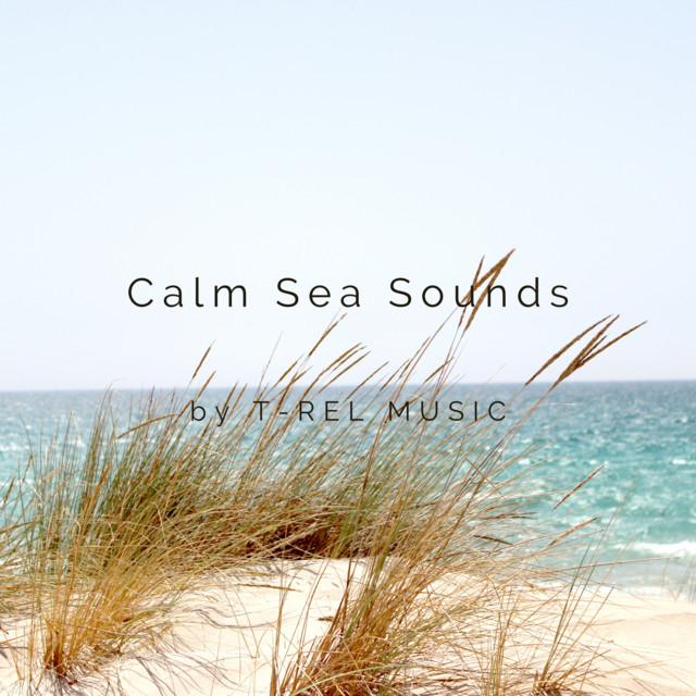 Calm Sea Sounds's avatar image