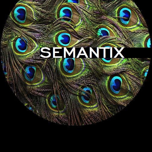 Semantix's avatar image