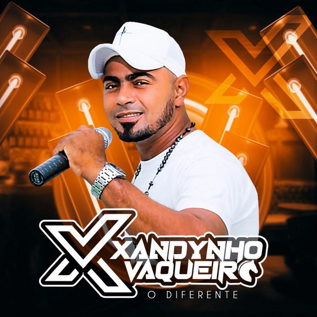 Xandynho Vaqueiro's avatar image
