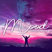 David Shannon's avatar cover