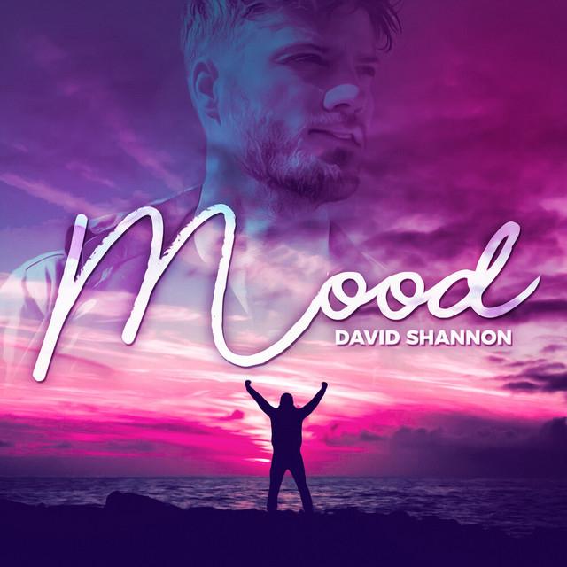 David Shannon's avatar image