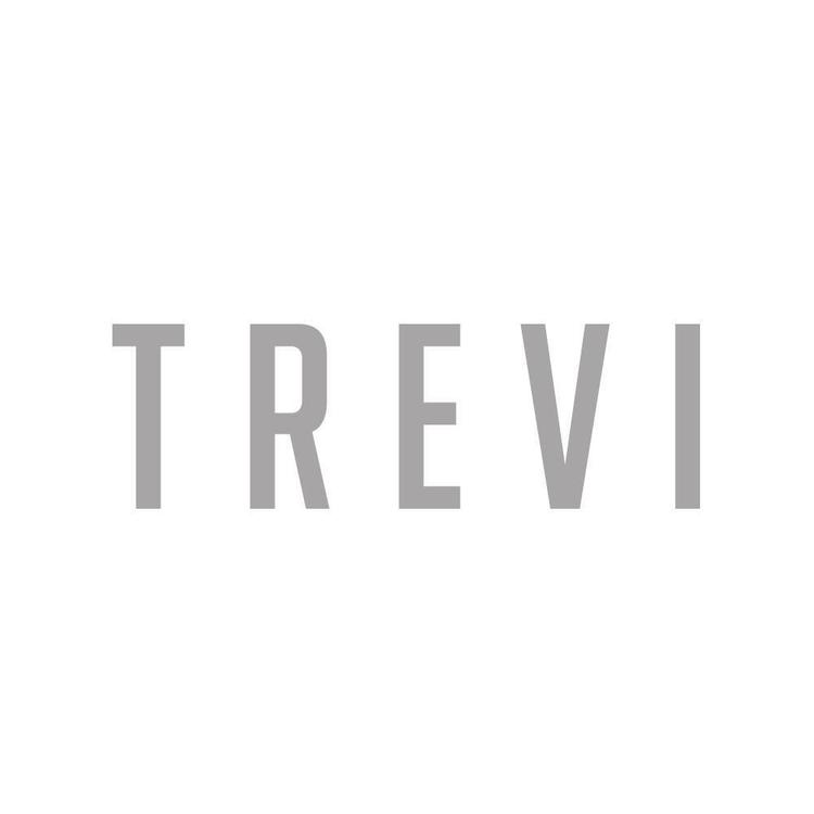 Trevi's avatar image