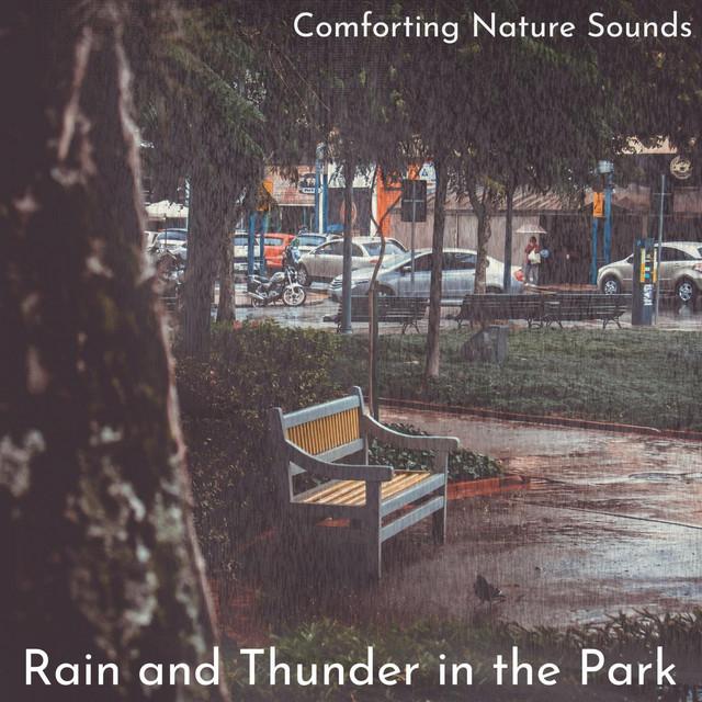 Comforting Nature Sounds's avatar image