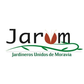 JARUM BAND's avatar image