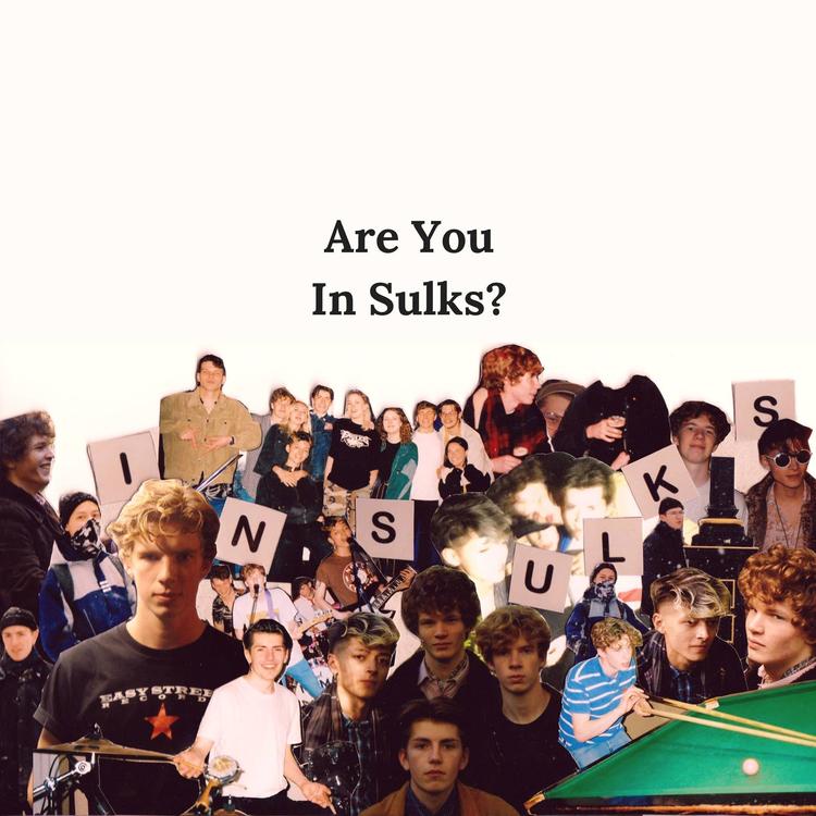 In Sulks's avatar image