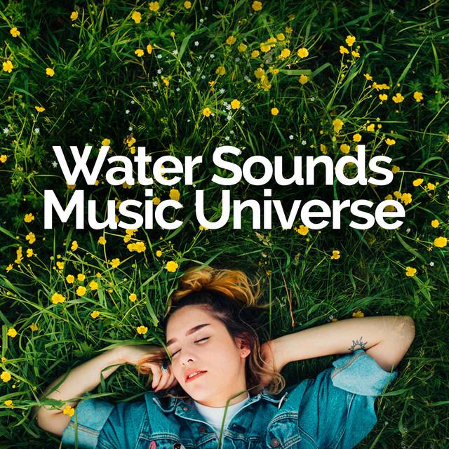 Sleep Songs with Nature Sounds's avatar image