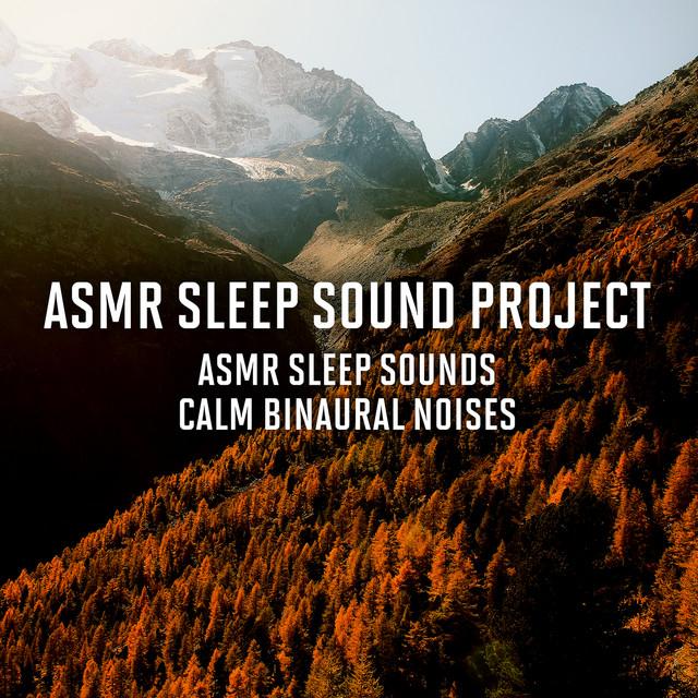 ASMR Sleep Sound Project's avatar image