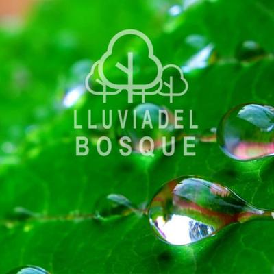 Lluvia del Bosque's cover