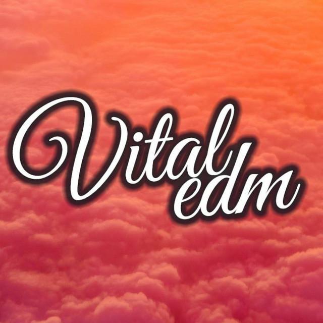 Vital EDM's avatar image